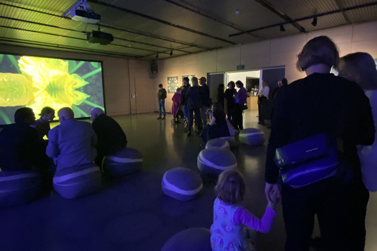2022-abstrakttropik-installation-03