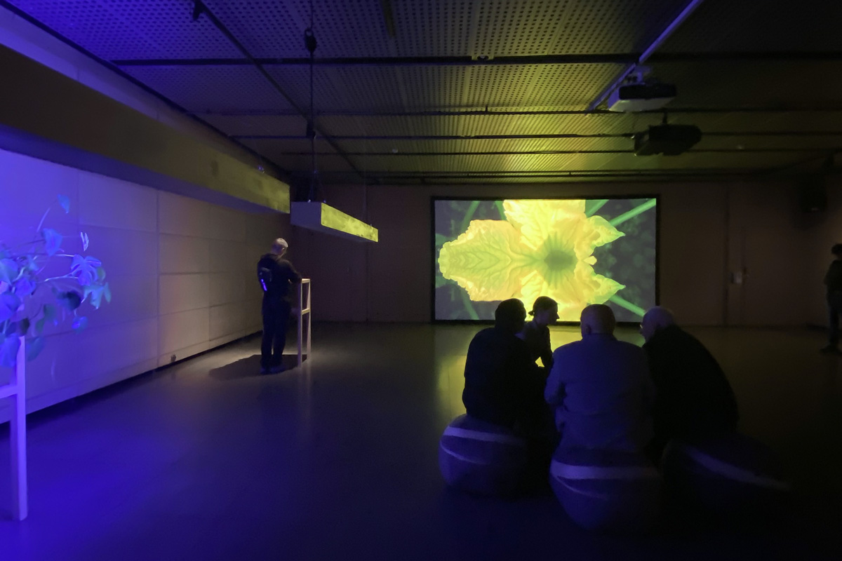 2022-abstrakttropik-installation-04