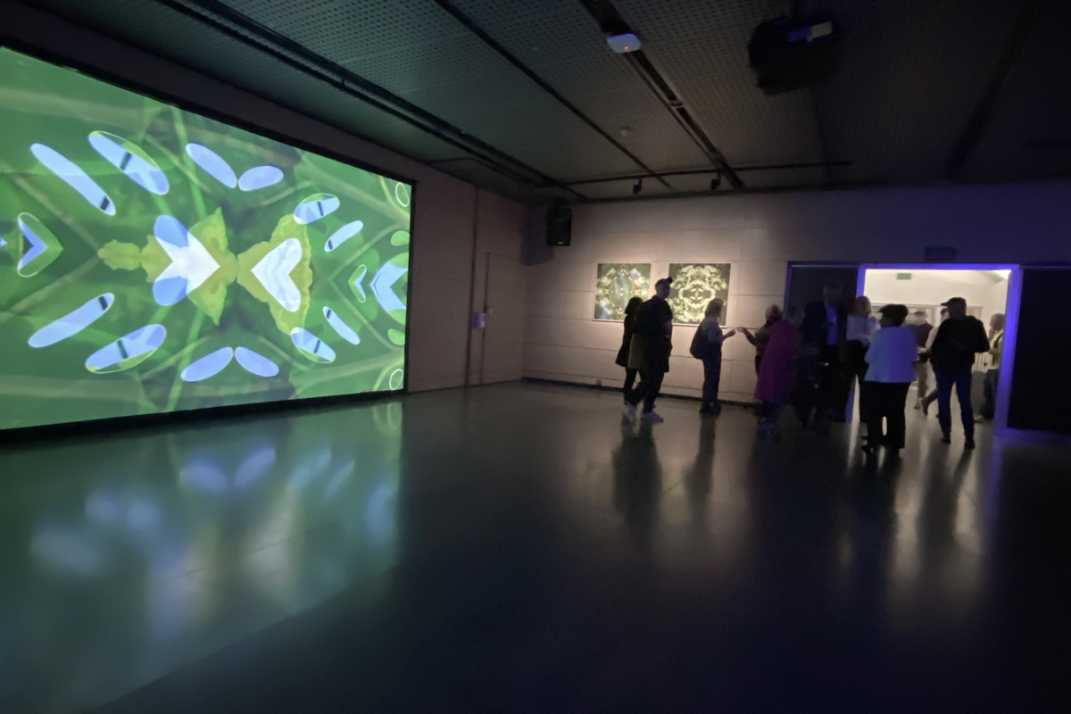 2022-abstrakttropik-installation-05