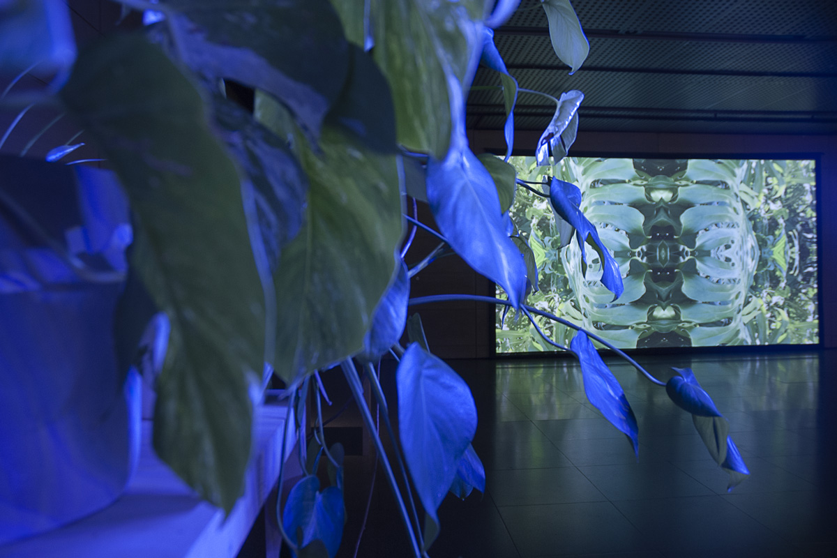 2022-abstrakttropik-installation-10