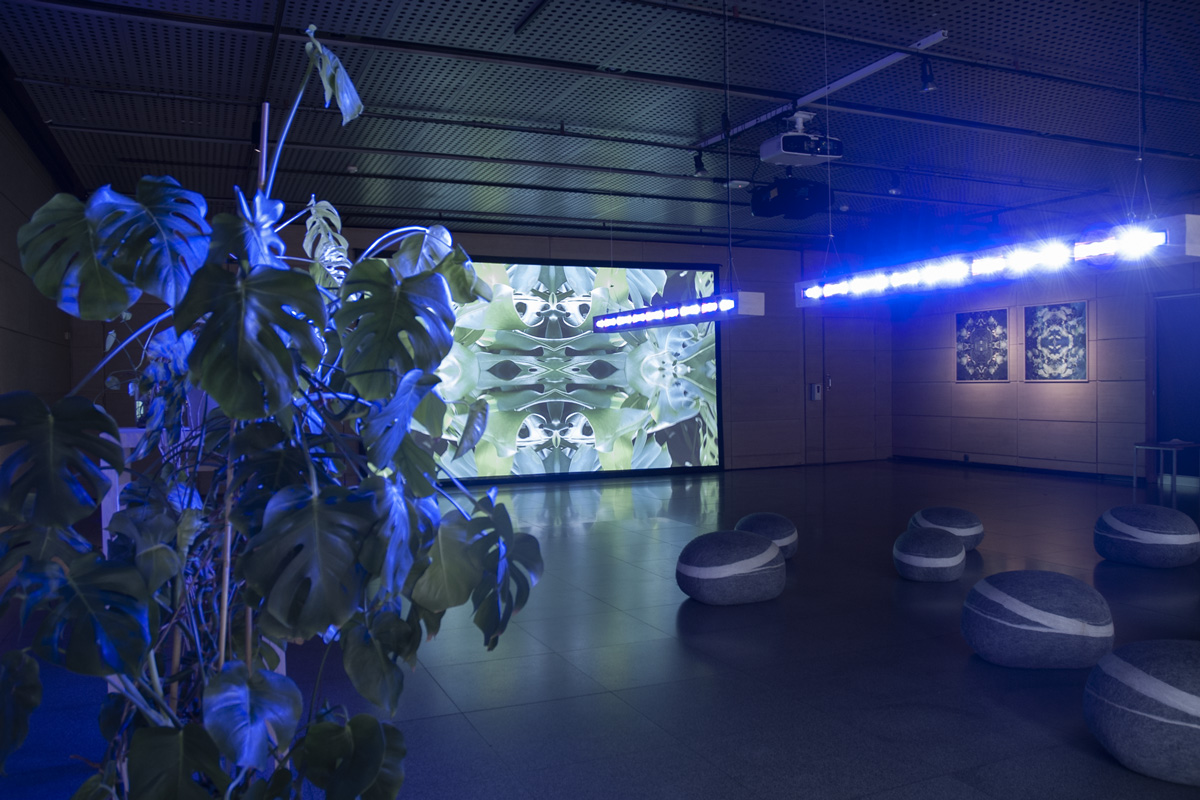 2022-abstrakttropik-installation-11