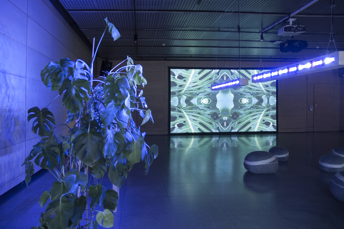 2022-abstrakttropik-installation-12