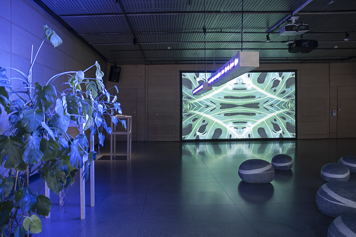 2022-abstrakttropik-installation-13