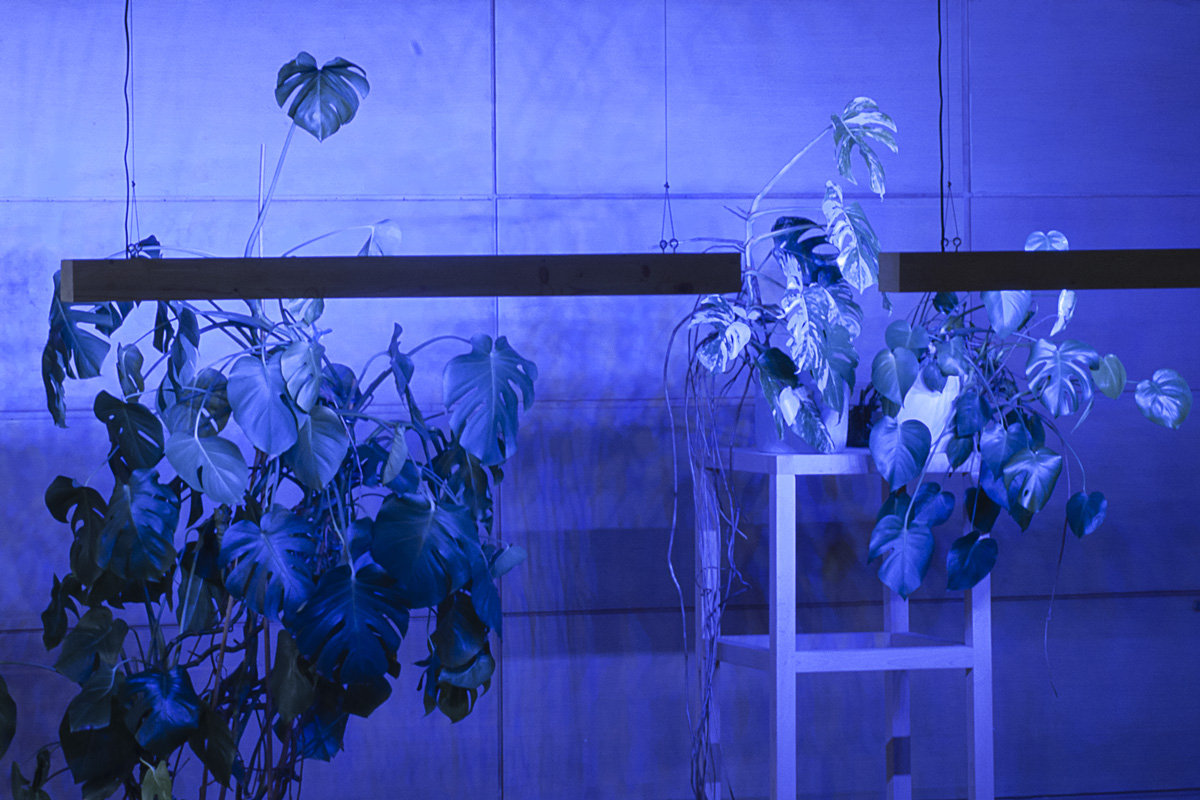 2022-abstrakttropik-installation-19