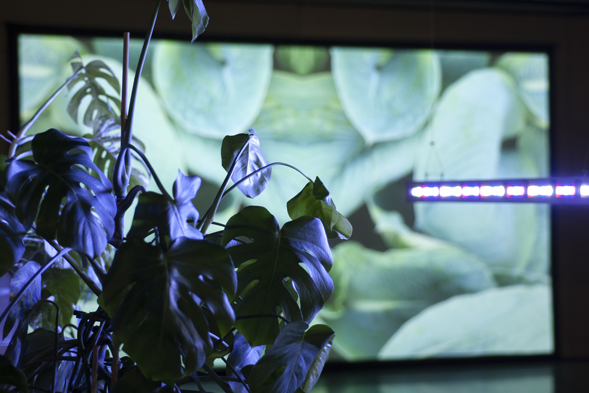 2022-abstrakttropik-installation-24