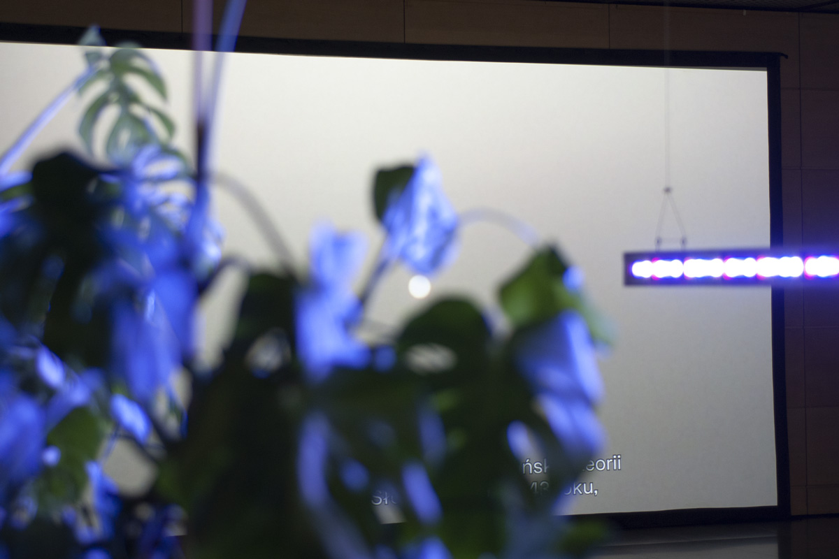 2022-abstrakttropik-installation-25