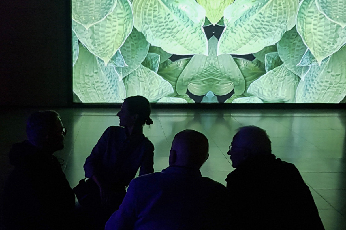 2022-abstrakttropik-installation-30
