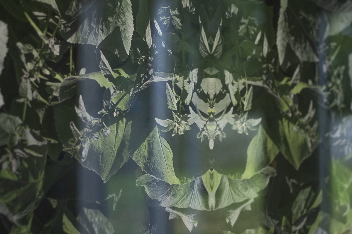 2022-abstrakttropik-photography-09