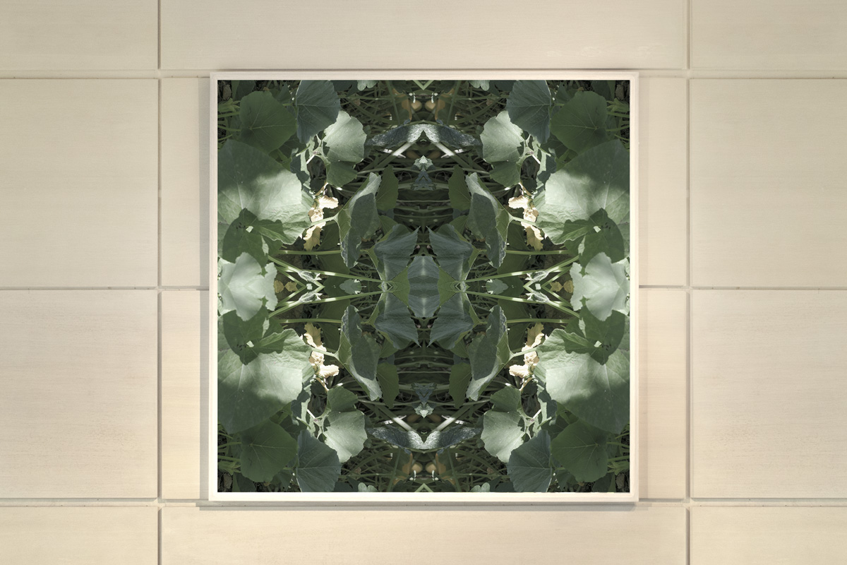 2022-abstrakttropik-photography-14 2022-abstrakttropik-photography-14