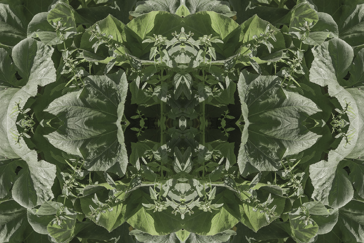 2022-abstrakttropik-photography-18