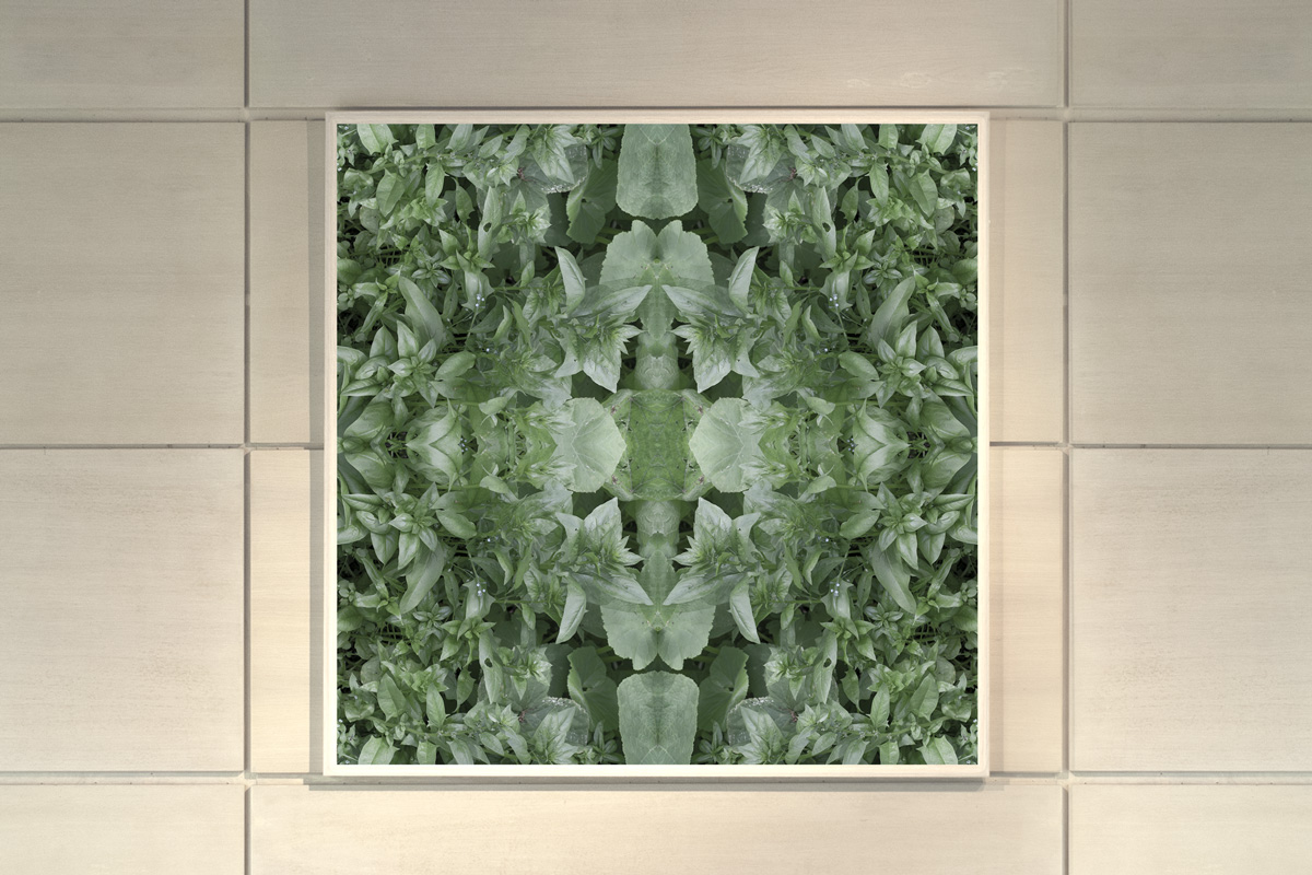 2022-abstrakttropik-photography-20 2022-abstrakttropik-photography-20