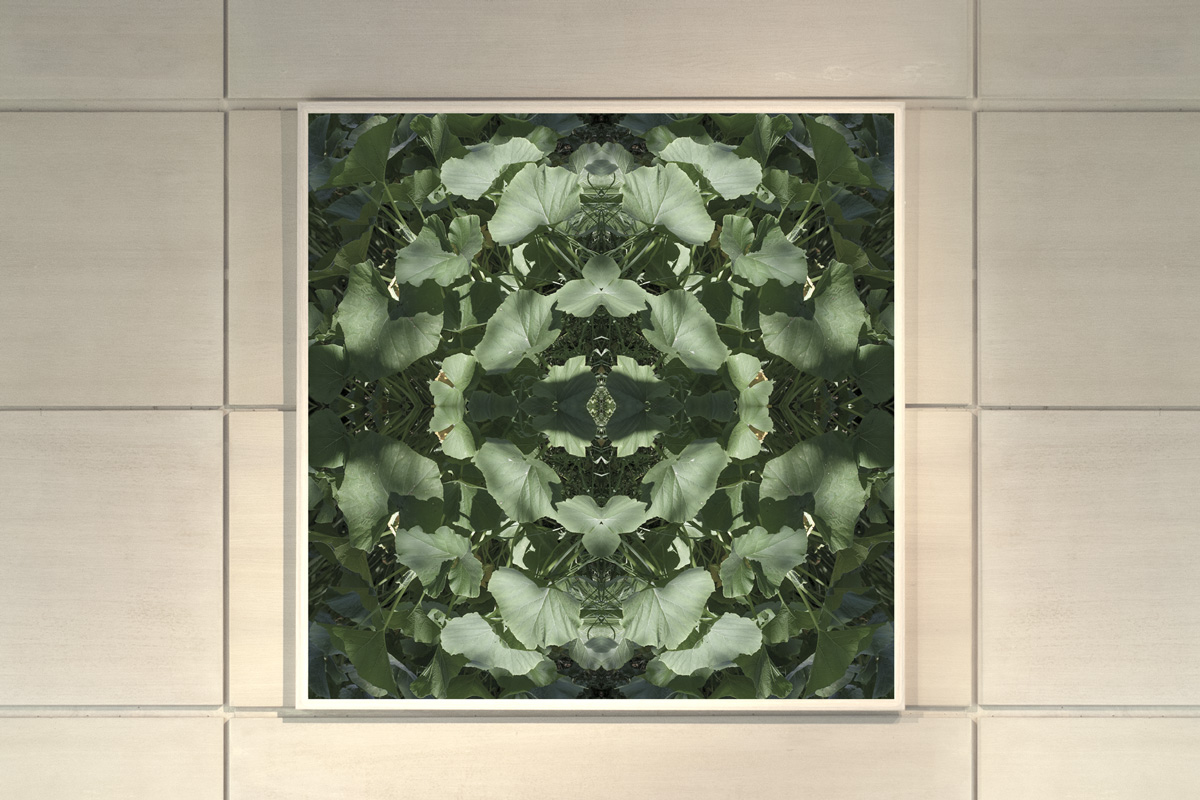2022-abstrakttropik-photography-24 2022-abstrakttropik-photography-24