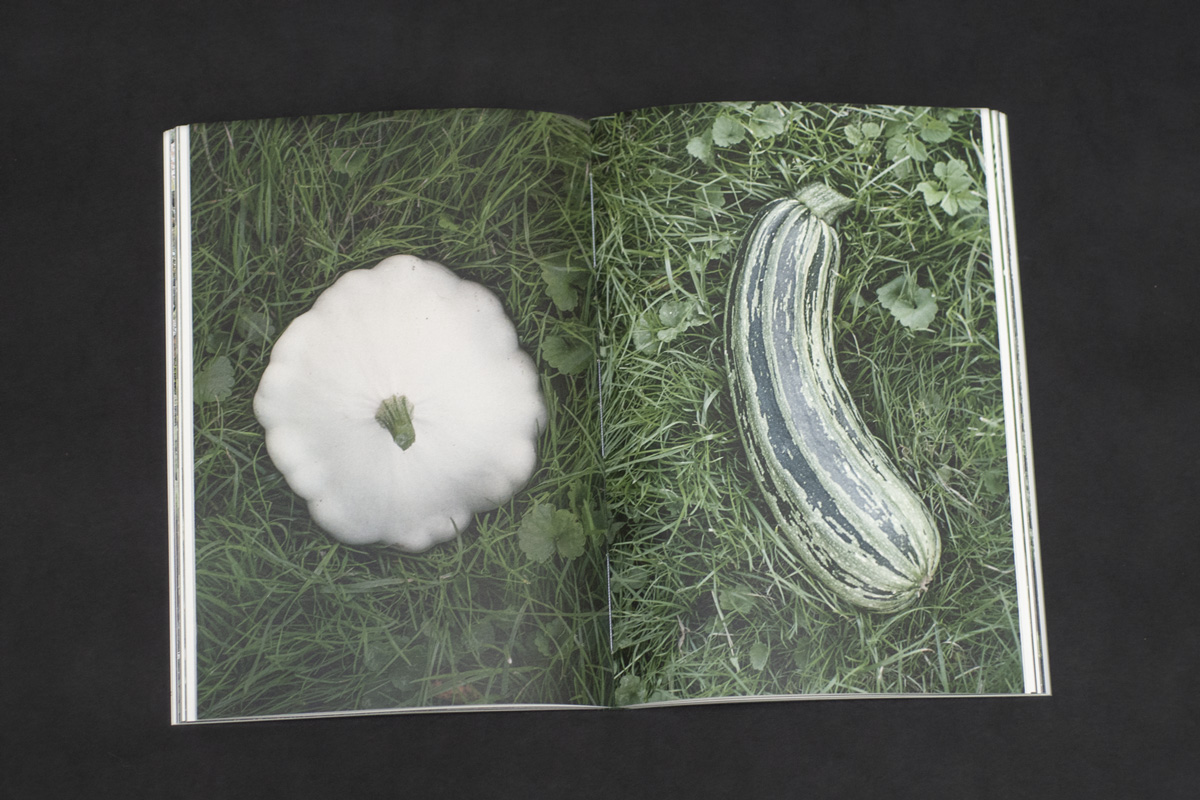 2022-abstrakttropik-publication-09