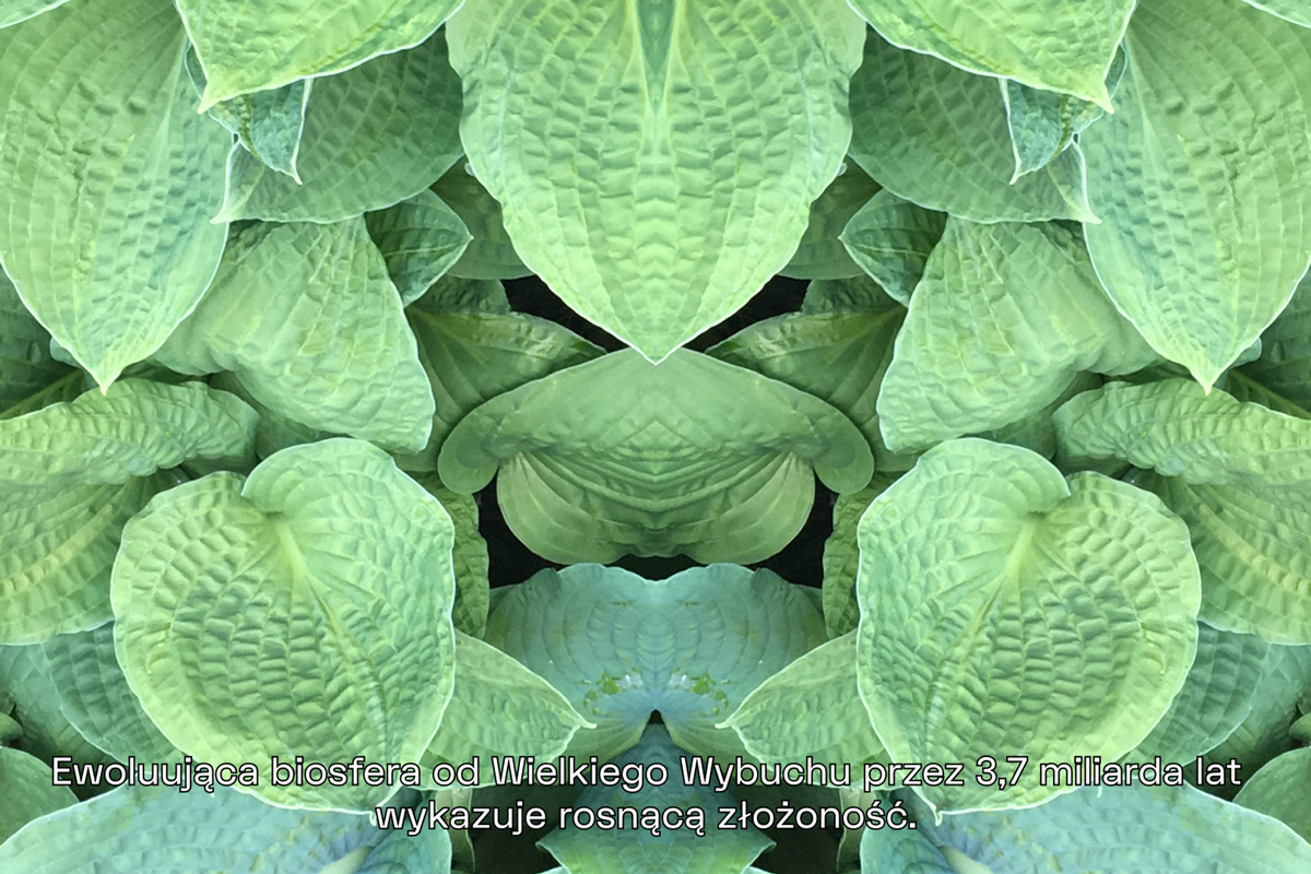 2022-abstrakttropik-video-21