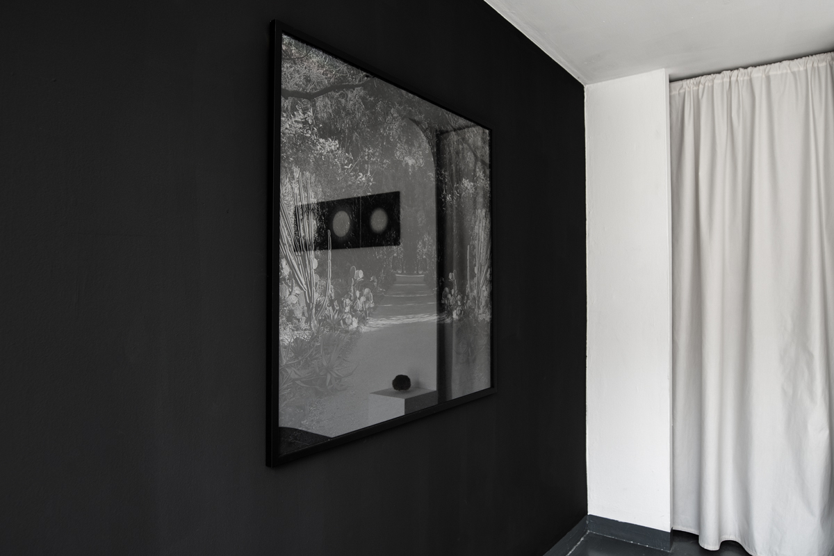 2024-solstice-kowalska-installation-03