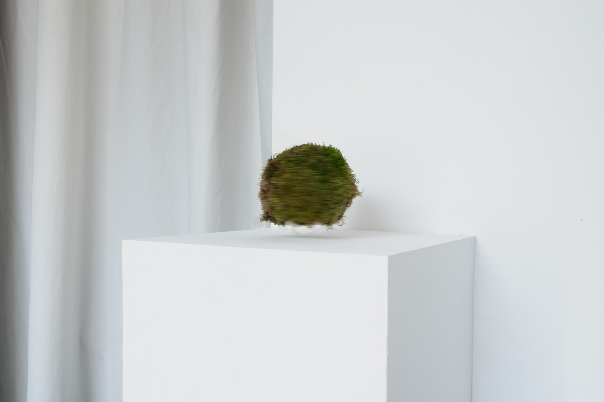2024-solstice-kowalska-installation-05