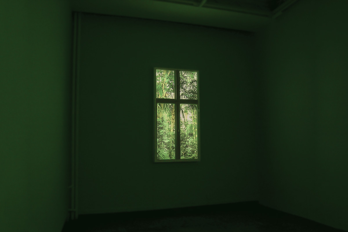 Okna na zimę / Windows for Winter / 2004