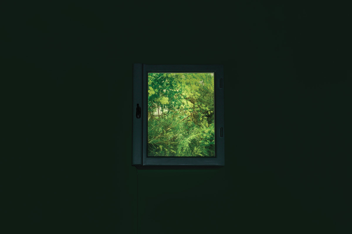 2004-windowsforwinter-kkowalska-photography-08 2004-windowsforwinter-kkowalska-photography-08