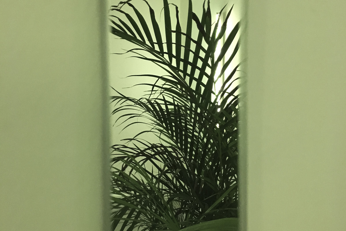 2018-budgettravel-kkowalska-photography-installation_08