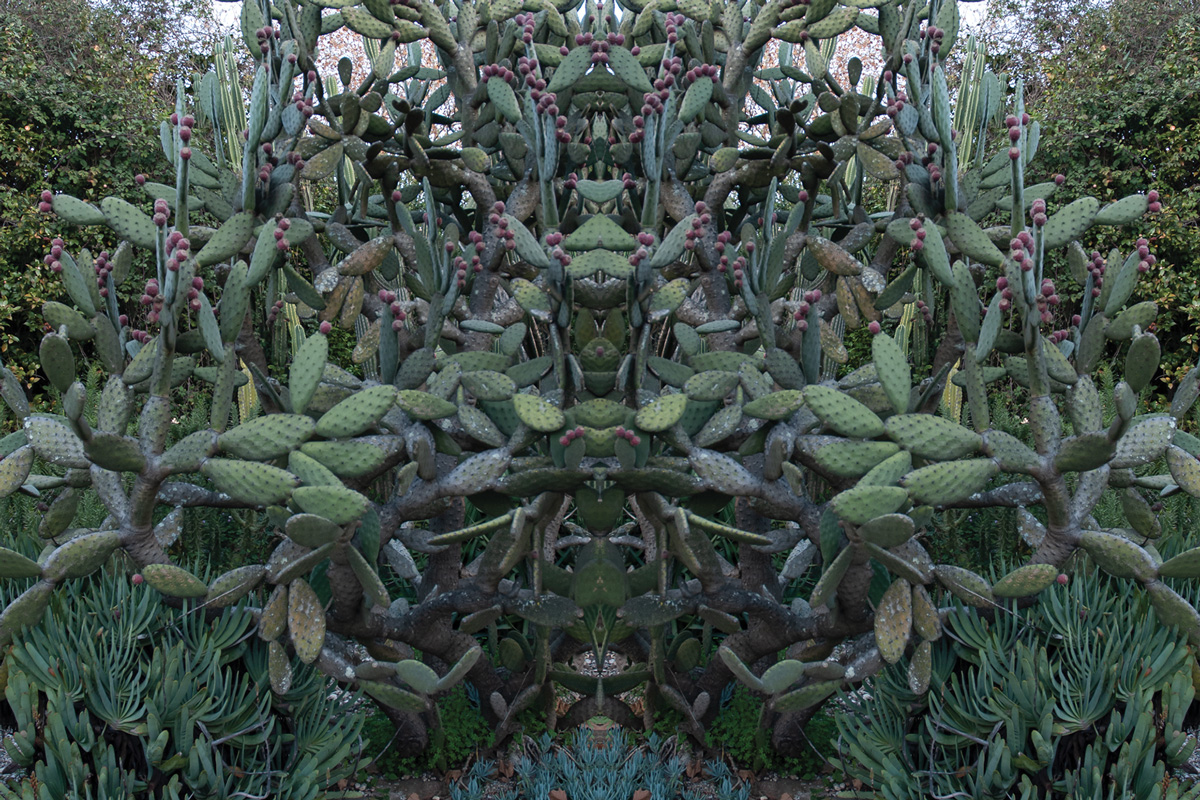 2020-creatures-kkowalska-photography-09