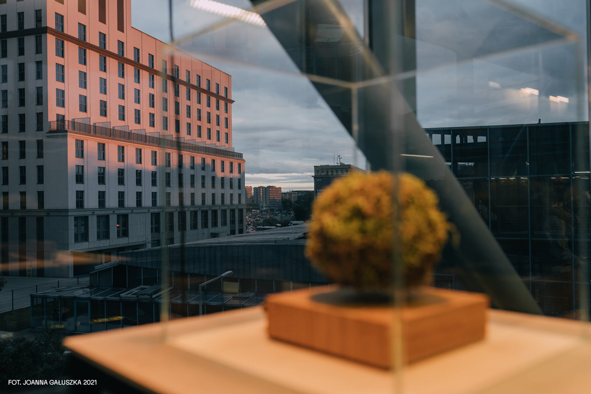 2021-transfer-kkowalska-photography-installation-06