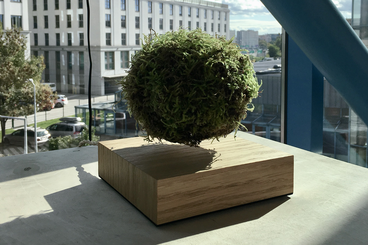 2021-transfer-kkowalska-photography-installation-11
