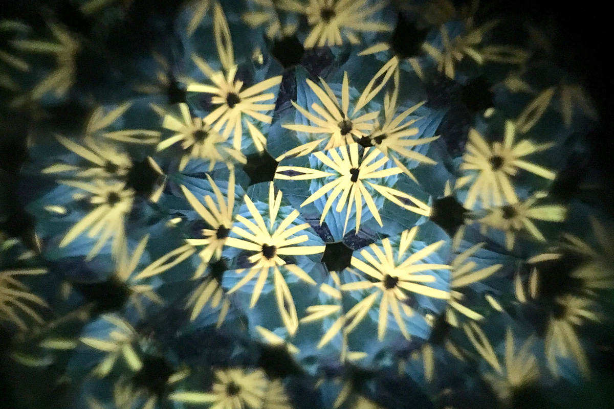 2021-transfer-kkowalska-photography-installation-13