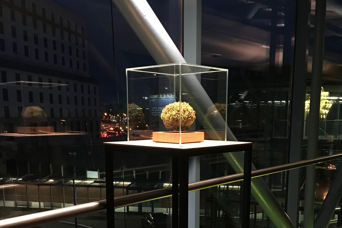 2021-transfer-kkowalska-photography-installation-16 2021-transfer-kkowalska-photography-installation-16
